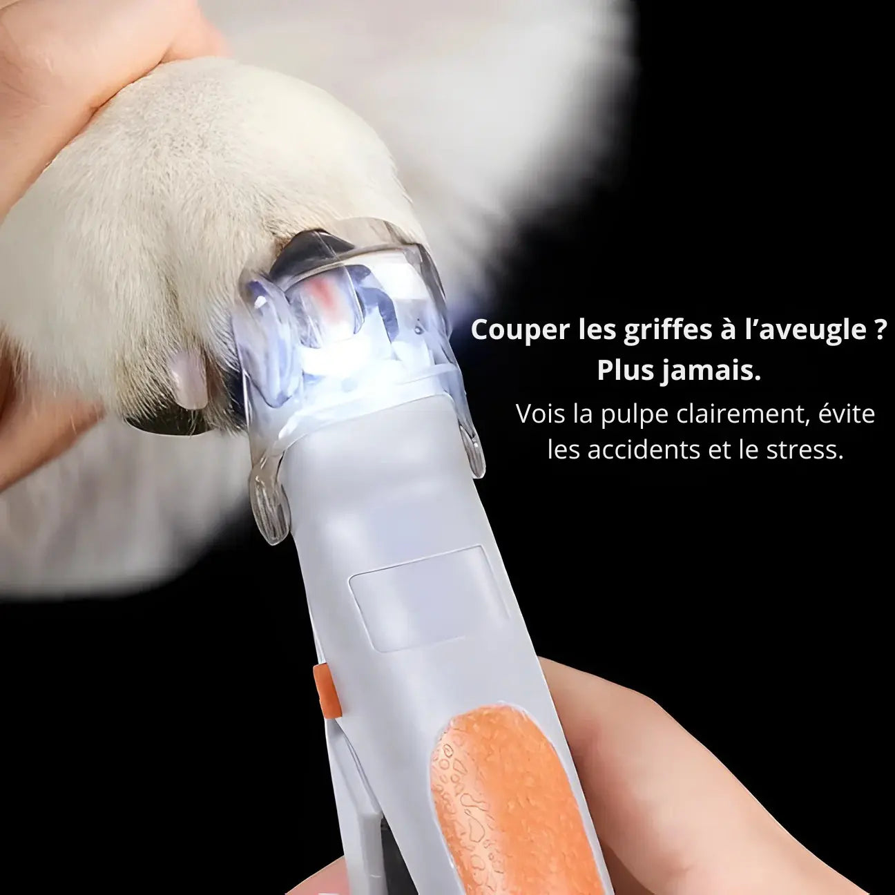 Denuova – Coupez les griffes sans risque ni stress