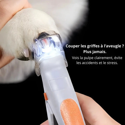 Denuova – Coupez les griffes sans risque ni stress