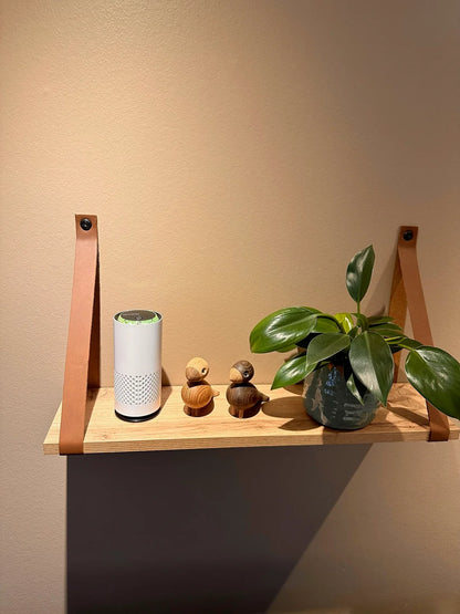 Purificateur d'air
