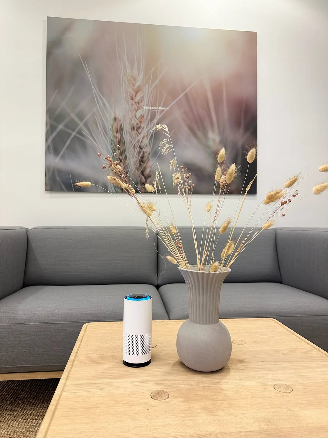 Purificateur d'air