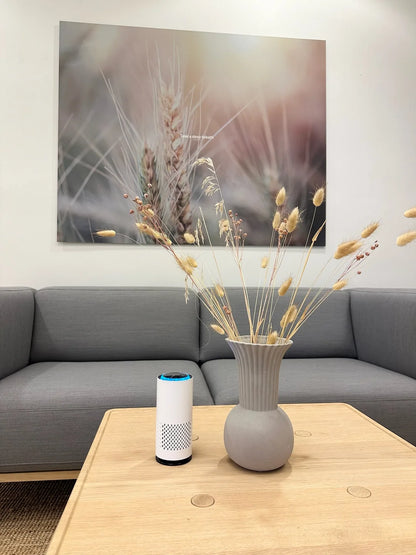 Purificateur d'air