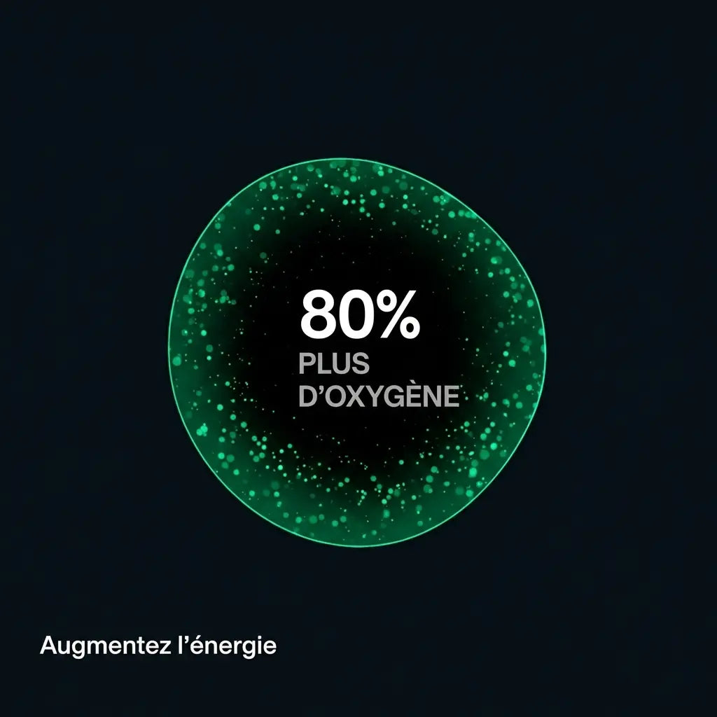 Kit de Démarrage Noir